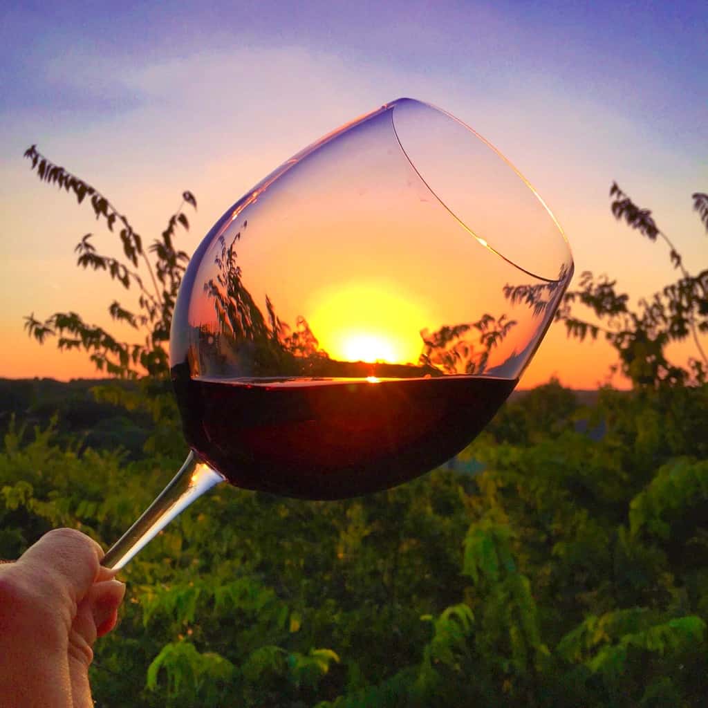 ¿Cuáles son los beneficios para la salud de beber vino tinto?  |  Winetraveler.com