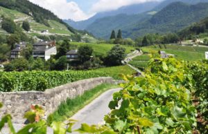 Viajes de cata de vinos y consejos |  Cómo ir a una cata de vinos alrededor del mundo |  Winetraveler.com