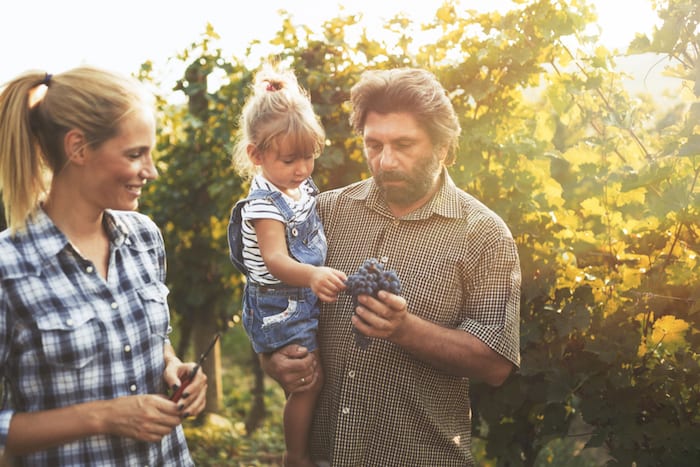 Cómo planificar las vacaciones familiares perfectas con vino |  Winetraveler.com
