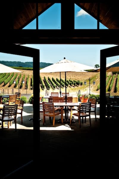 La vista desde el Patio Adelsheim en Newberg, OR.  |  Winetraveler.com