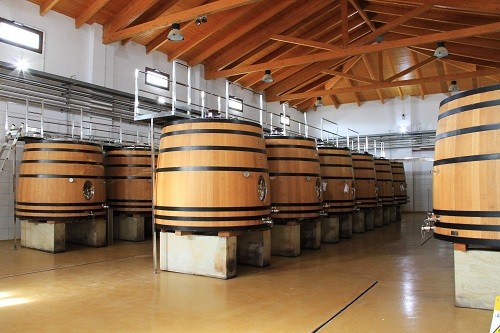 Cata de Vinos y Rutas del Vino en Huerta de Albalá en España |  Winetraveler.com