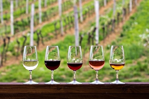 ¿Qué Significa Roble, Acidez, Cuerpo y Fruta en un Vino?  |  Winetraveler.com