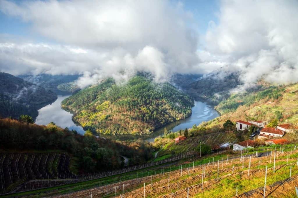 Nuevas recomendaciones de vinos para 2019 - Albariño Galicia España |  Winetraveler.com