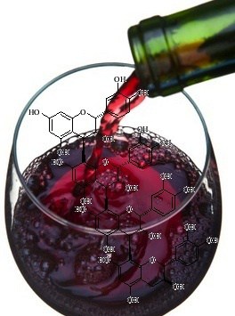 Cómo afectan los taninos a la sensación de astringencia en el vino