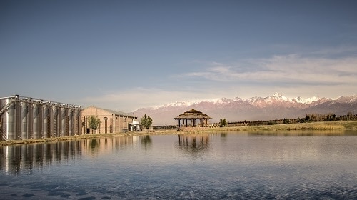 Visita a la Bodega Domaine Bousquet en Mendoza, Argentina.