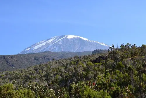 Kilimanjaro Itinerario Senderismo Guía de viaje Día 7