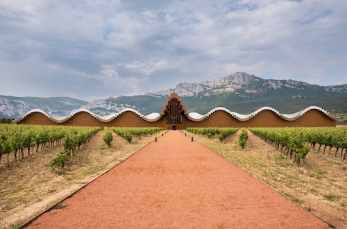 Mejores Rutas del Vino y Bodegas para Visitar en España |  Winetraveler.com
