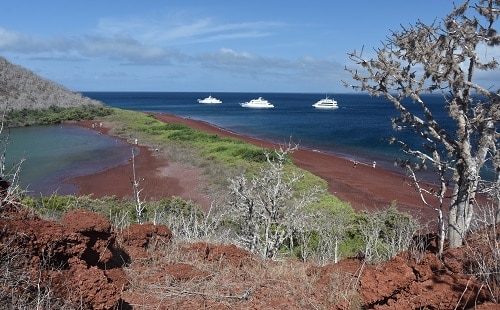 Numerosas opciones de buceo están disponibles para el buzo experimentado en las Islas Galápagos.  Imagen cortesía de Lenore Parr.