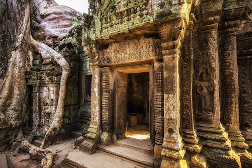 Templo de Angkor - Ta Prohm - Guía de viajes, itinerario y planificador de viajes |  Winetraveler.com