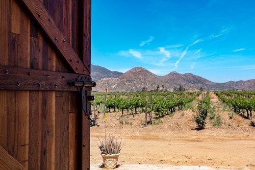 Baja California, Región Vitivinícola de México Valle de Parras - Winetraveler.com