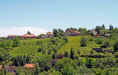 Consejos y guía de viajes para la región vinícola de Eger, Hungría |  Winetraveler.com