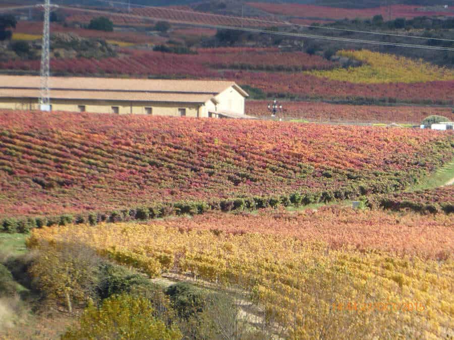 Las Tres Sub Regiones (Denominaciones de Origen) de La Rioja incluyen Rioja Baja, Rioja Alta y Rioja Alavesa.