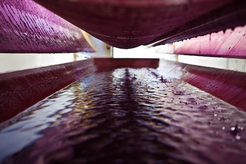 La vista desde el interior de una prensa de vino |  Winetraveler.com