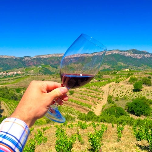 Comprender la diferencia entre el vino dulce y el vino seco |  Winetraveler.com