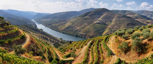 dónde visitar en Portugal - la región vinícola del valle del Duero