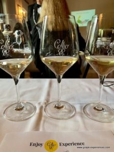 Collio Vinos Blancos en Copa |  Winetraveler.com