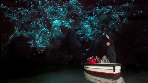 Las mejores regiones de Nueva Zelanda para visitar |  Explora cuevas subterráneas en Waitomo, cerca de Hamilton |  Winetraveler.com