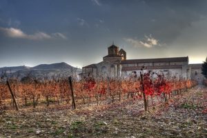 Visite la región vinícola de Ribera del Duero de España |  Winetraveler.com