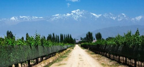 Mejores Regiones Vitivinícolas del Mundo para Visitar - Mendoza, Argentina |  Regiones vitivinícolas para visitar en Argentina