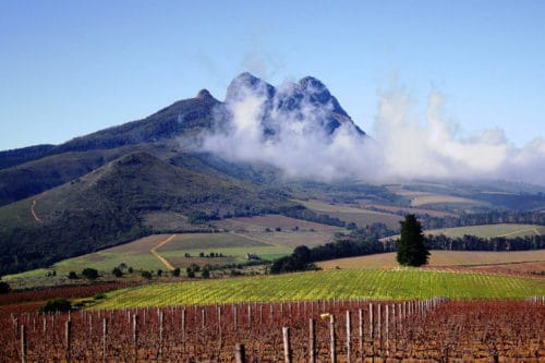 Región vinícola de Stellenbosch Sudáfrica |  Las mejores regiones vinícolas para visitar en Sudáfrica