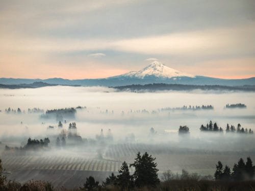 Hermosas regiones vinícolas en los EE. UU. con paisajes asombrosos |  Winetraveler.com