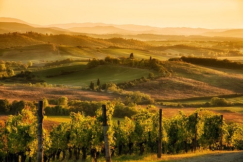 Italia en octubre Dónde ir - Toscana / Siena |  Winetraveler.com