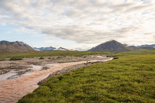 Visitar el Parque Nacional Gates of the Arctic en verano
