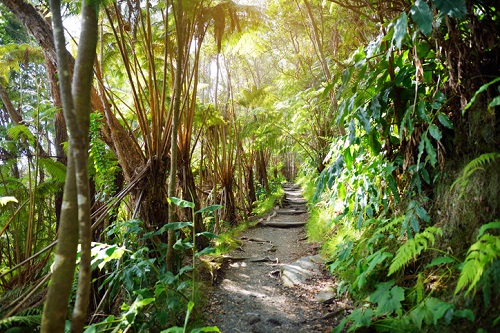Dónde hacer senderismo en Hawái