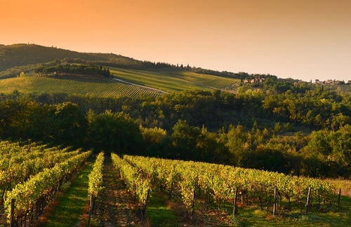 Itinerario de Chianti: Cómo pasar 5 días en Chianti, Toscana • Winetraveler