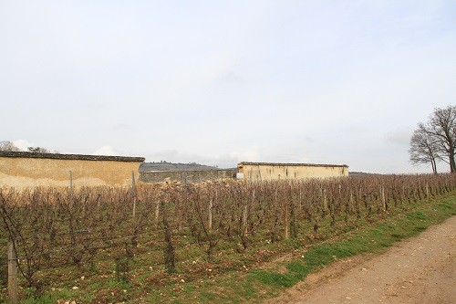Cómo llegar a Beaune, Borgoña, Francia para una cata de vinos |  Winetraveler.com