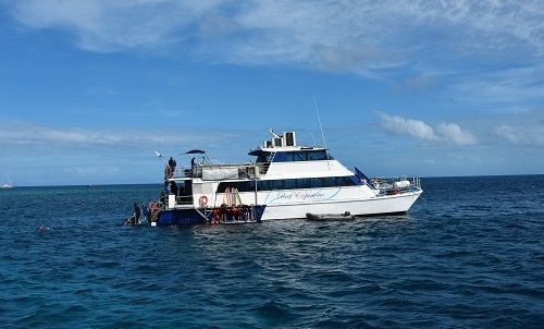 Reef Experience Barco de vida a bordo Cairns Gran Barrera de Coral