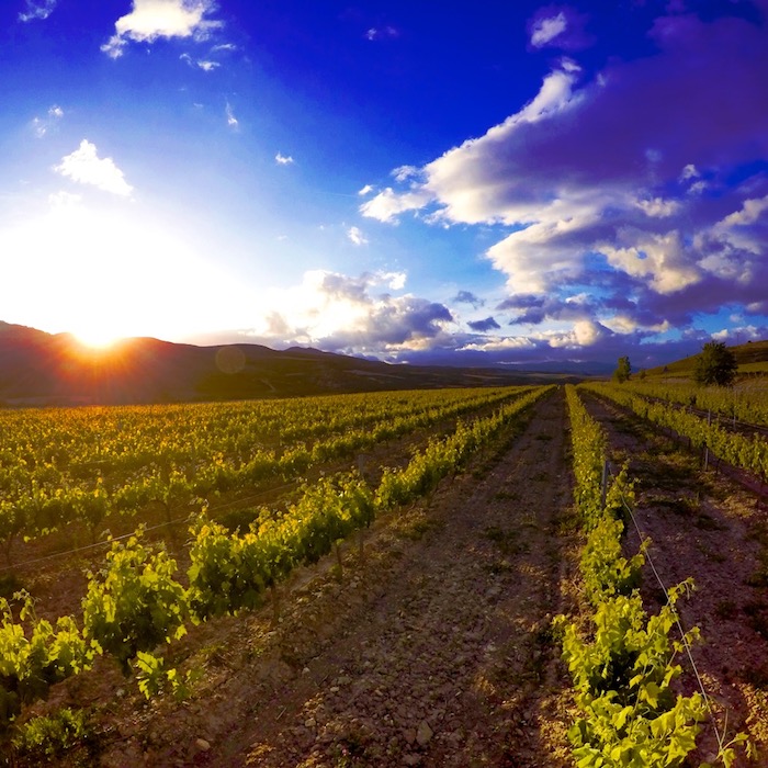 Lo mejor de España Itinerario de viaje de 3 semanas |  Visitando La Rioja |  Winetraveler.com