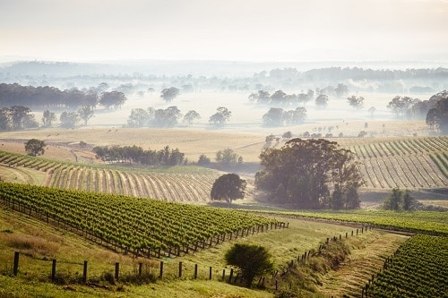 Las regiones vitivinícolas australianas son increíblemente diversas y variadas.