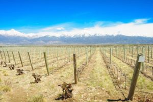 Valle de Uco Regiones y Subregiones Vitivinícolas de Mendoza |  Visite la región vitivinícola de Mendoza en Argentina