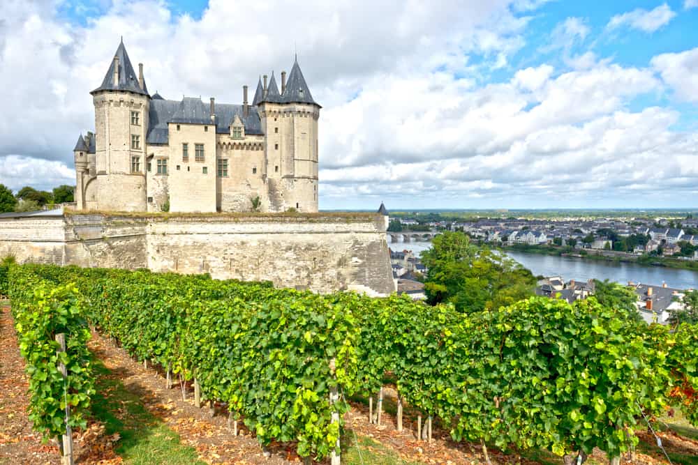 Francia Valle del Loira Castillos, Vino y Turismo |  Winetraveler.com