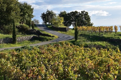 Visitando la región vinícola de Sicilia |  Winetraveler.com