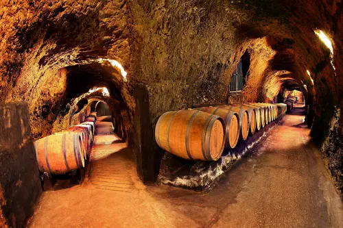 Visitas a las bodegas de las cuevas del vino en Rioja España