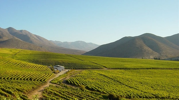 Valle Limarí, Chile |  Winetraveler.com