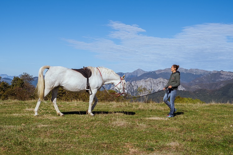 Paseos a caballo en el Oasyhotel en Toscana