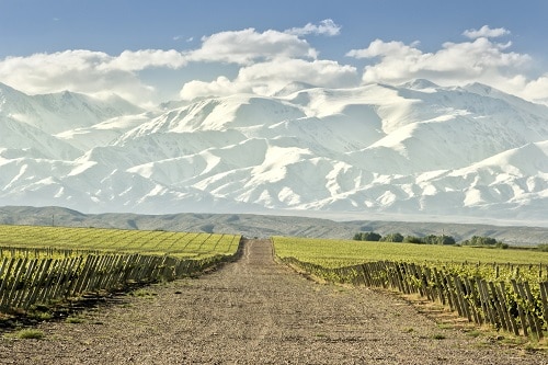 A veces llamado Espumante, Argentina hace vino espumoso en muchos estilos. 