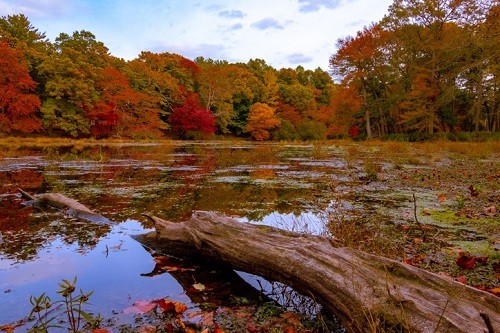 La mejor época del año para visitar el North Fork de Long Island: otoño