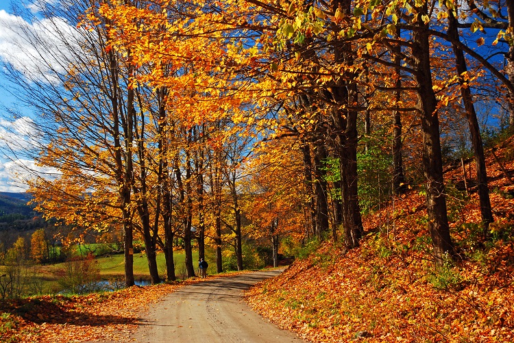 Vermont durante la temporada de otoño