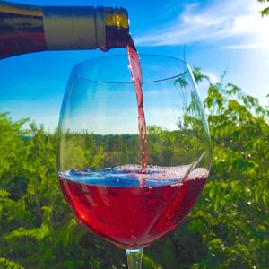 Datos sobre los sulfitos en el vino |  ¿Los sulfitos son malos para usted?  ¿Causan dolores de cabeza?  |  Winetraveler.com