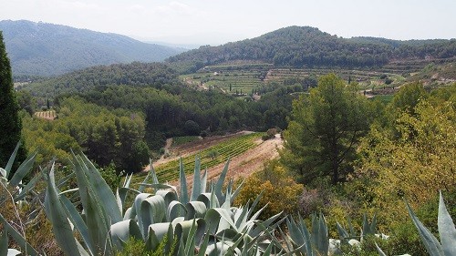 Las vistas desde el Chateau de Pibarnon en Bandol, Francia.  |  Winetraveler.com