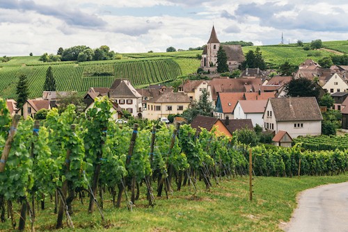 Vino Chardonnay en Borgoña - Historia Chardonnay del Viejo Mundo |  Winetraveler.com
