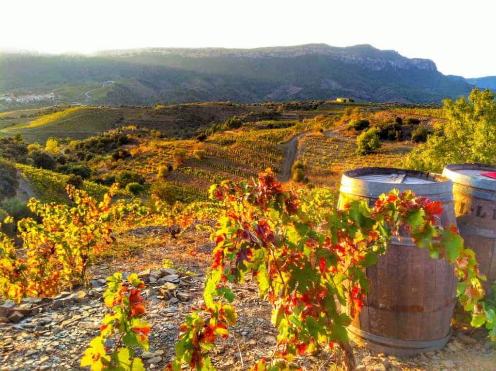 Las Regiones Vitivinícolas de España Información |  DOQ Priorato |  Winetraveler.com