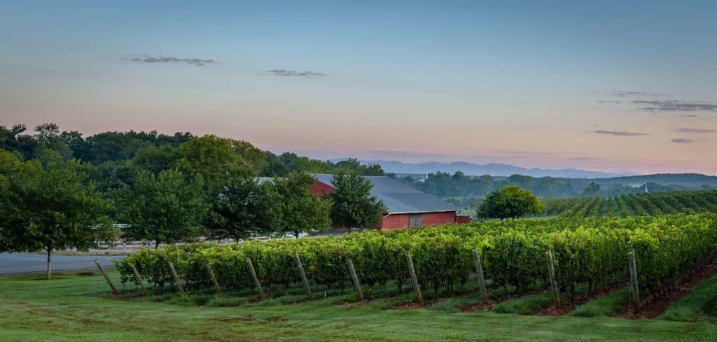Planifique un viaje a la región vinícola de Virginia: bodegas, actividades, historia, terroir, información sobre variedades de uva |  Winetraveler.com