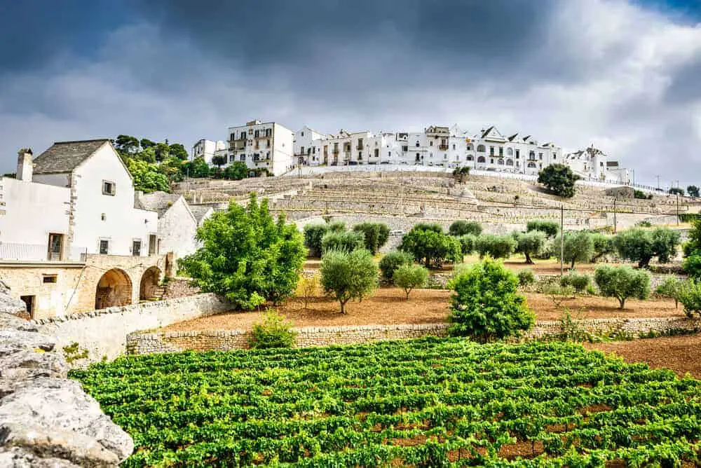 La ciudad de Locorotondo en Puglia (Apulia), Italia.  |  Información sobre la región vinícola de Puglia