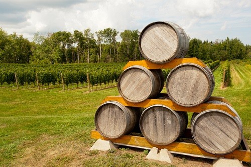 Región vinícola canadiense: la región vinícola de Nueva Escocia |  Winetraveler.com