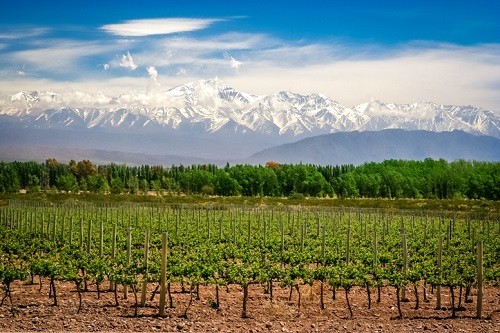 Vino para principiantes - Comprenda la geografía y cómo afecta los estilos de vino |  Winetraveler.com